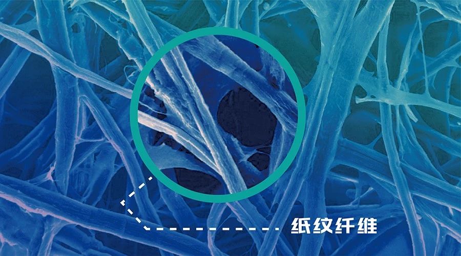 紙紋:第七代防偽技術(shù)亮相第十三屆證卡票簽安全防偽展覽會 紙紋:第七代防偽技術(shù)亮相第十三屆證卡票簽安全防偽展覽會